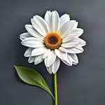 ЦВЕТЫ | ДОСТАВКА | ОРЕНБУРГ