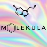 skincare | hair | self care | cosmetics reviews🫧