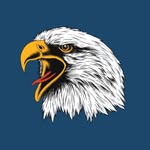USA 🇺🇸
