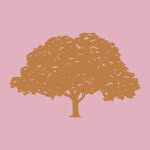 Tree Hut