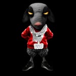 HEAVY CAMP 🏋🏾‍♂️