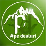 Pedealuri