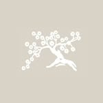 es bonsais|estudio floral y fotográfico