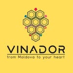 VINADOR.MD🔸Wine Shop & Events