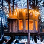 🏡Будинок на дереві у лісі, дом,отель, готель🇺🇦