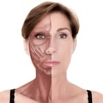 Face Revolution • PATAKARA