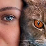 Кошкина Мать | Нелля