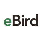 eBird