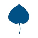 Aspen Institute Romania