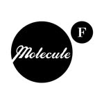 Molecule F