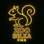 Зоомагазин Belkapmr