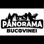 Panorama Bucovinei 🌲