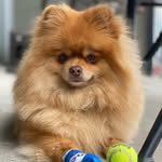 Jacintito y Theodoro