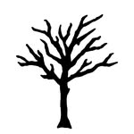 XXXtentacion Foundation