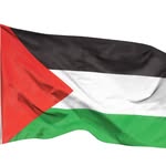 Luigi | Reallity | Film Produzent