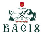 Casa Baciu Bucovina