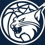 minnesotalynx