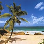 Vacations | Travel | Nature