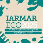 Iarmaroc online și offline