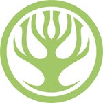 Transilvania Healing Centre