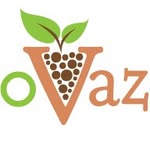 ecoVazon