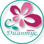 ДИАНТУС ОРЕНБУРГ• ЦВЕТЫ• БУКЕТЫ• ДОСТАВКА КРУГЛОСУТОЧНО•