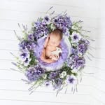 Pampy.md — bebeluși & nou-născuți 👶