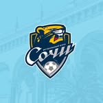 Футбольный клуб «Сочи»