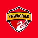 YNWAGRAM | Liverpool FC Fans