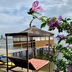 База Бормана | Лиман | ПМР🏖️