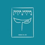 Teatrul Național Radu Stanca