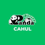 pandatur_cahul