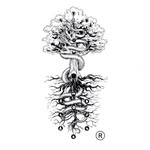 Resiliência Humana