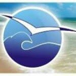 Eforie Online