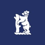 Bears
