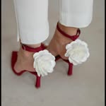 Веши Турцья