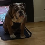 Santiago Rodriguez Zahn