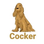 cocker spaniel 🦮