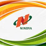 PT Nindya Karya (Persero)