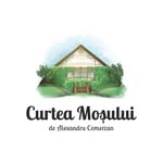 Curtea Moșului de Alexandru Comerzan