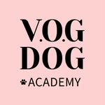 КУРСИ ГРУМІНГУ•ШКОЛА ГРУМІНГУ•Від 0 до 🔝