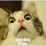 Юмор | Приколы | Видео