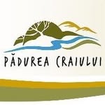 Pădurea Craiului ⛰️🌳 România