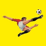 Calciatori Panini