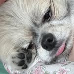 김요한