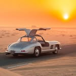 Miss Gullwing 🕊️