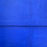 안지호